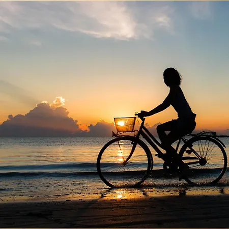 Lejlighed Sonneninsel Strandmoewe Obergeschoss *