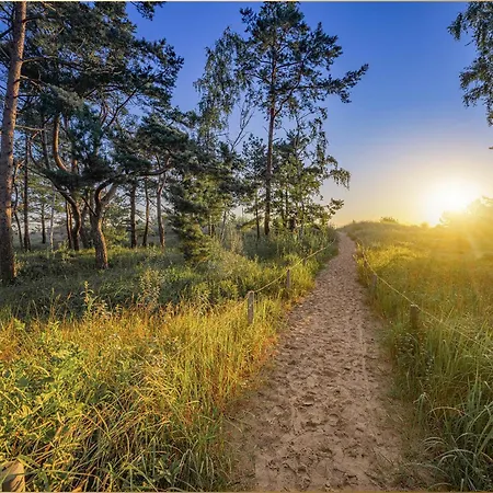 Sonneninsel Strandmoewe Obergeschoss Lejlighed *